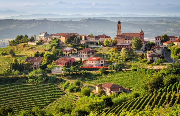 Italy wine tour